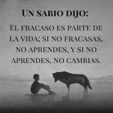 Haga click para ver la imagen ampliada el fracaso es parte de la vida.jpg